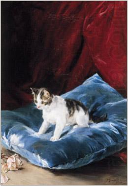 Francisco Domingo Marques Cat china oil painting image